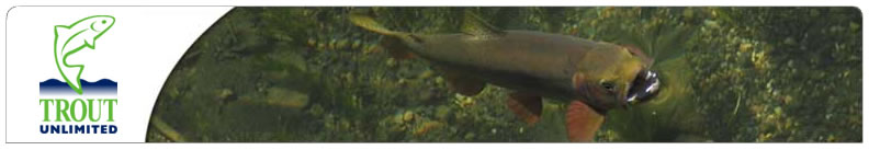 troutunlimited Alumni banner