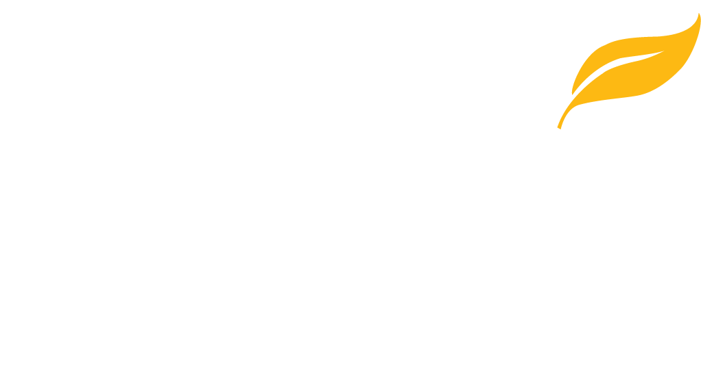 Southern New Hampshire University